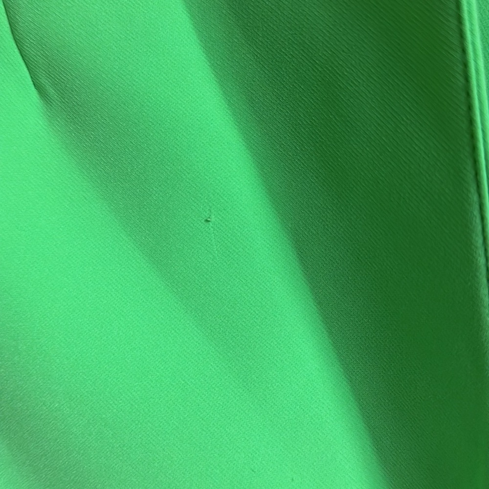 Camila Coelho Lime Green Blazer from Revolve - Picture 10 of 11